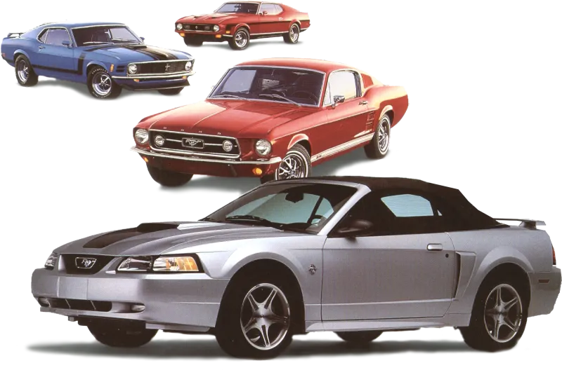 Mustangs